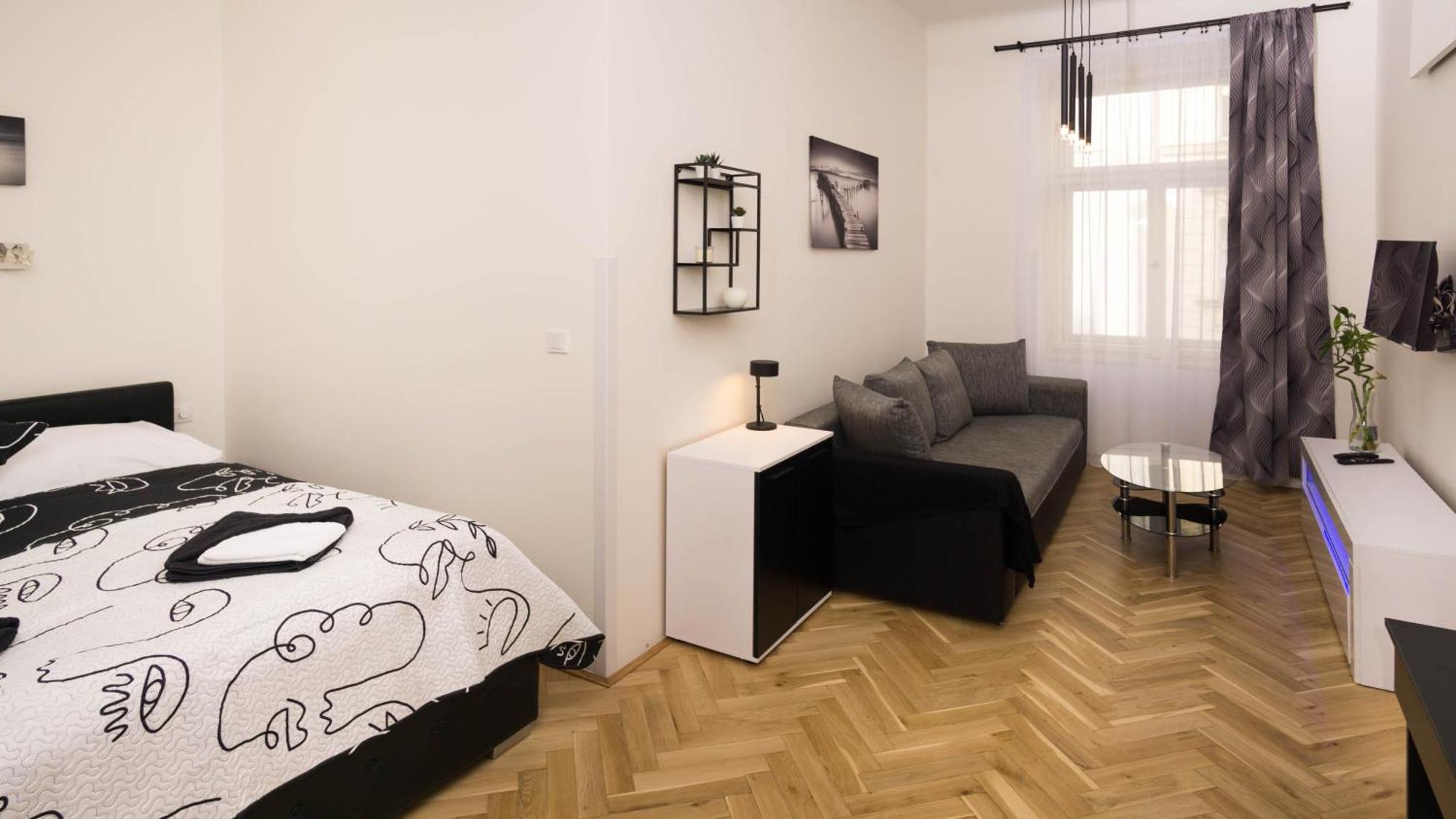 Black & White Apartment Prague By Wenceslas Square And Muzeum Kültér fotó