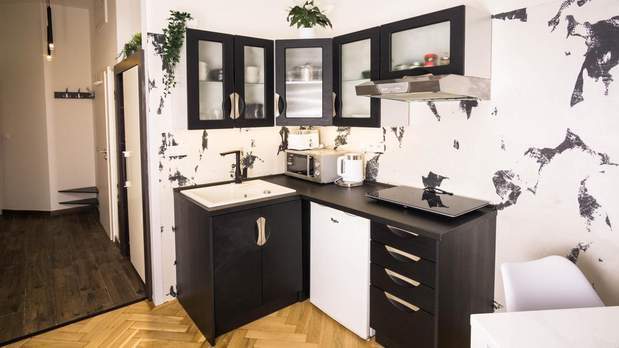 Black & White Apartment Prague By Wenceslas Square And Muzeum Kültér fotó